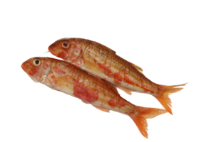 Rode mul 200-300 gram